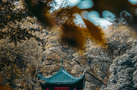 万寿寺(北京的著名古刹——万寿寺)