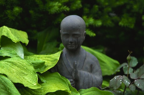 草神圣遗物推荐(草神圣遗物推荐：成为顶尖草师的终极必备)