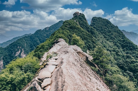 海口市灵山中学(海口市灵山中学：一所松柏挺立的名校)