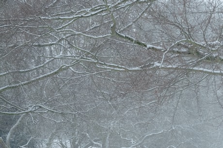 雪花一片一片片片为红颜是什么歌(雪花一片一片片片为红颜的歌详细解读与故事介绍)