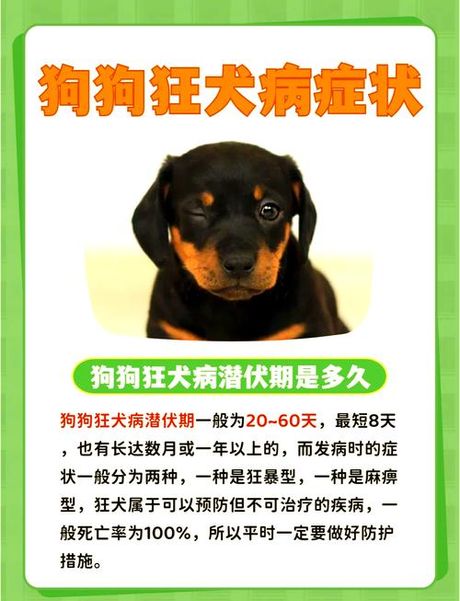 狂犬病毒，狂犬病毒威胁下的犬宠安全问题