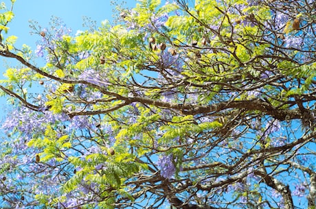 世界节水日(今天是世界节水日，你做出了哪些水的贡献？)