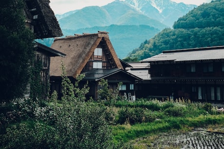 宝可梦旅途(深度探索宝可梦旅途)