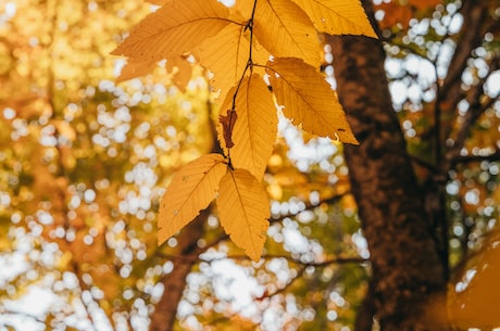 10月节日(国庆过后，那些10月的节日，你都知道吗？)