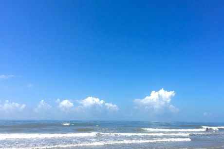 上海餐厅周 也就是说：外地游客去上海