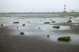 西溪湿舆图片(【揭秘西溪湿地】壮美自然景物一目了然)