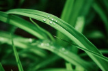 雨水斗(户外流动必备，体会一下雨水斗)